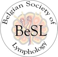 BESL Logo